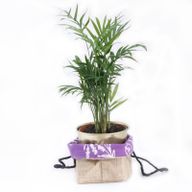 Sac Cadeau en Coton & Jute Naturelle - Doublure Lavande - Moyen