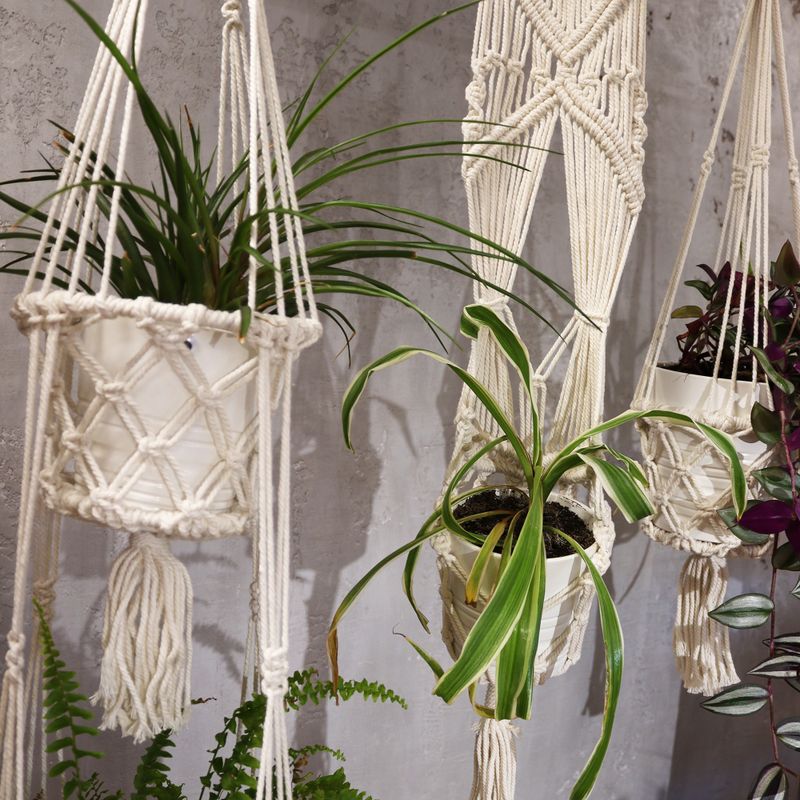Suspension Macramé pour Plantes - Petit Pot
