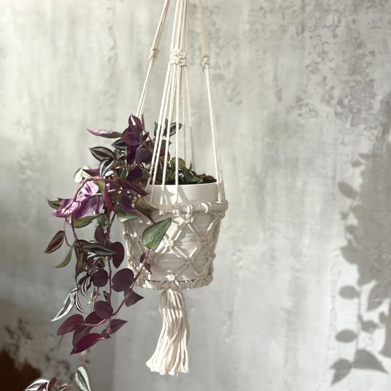 Suspension Macramé pour Plantes - Petit Pot