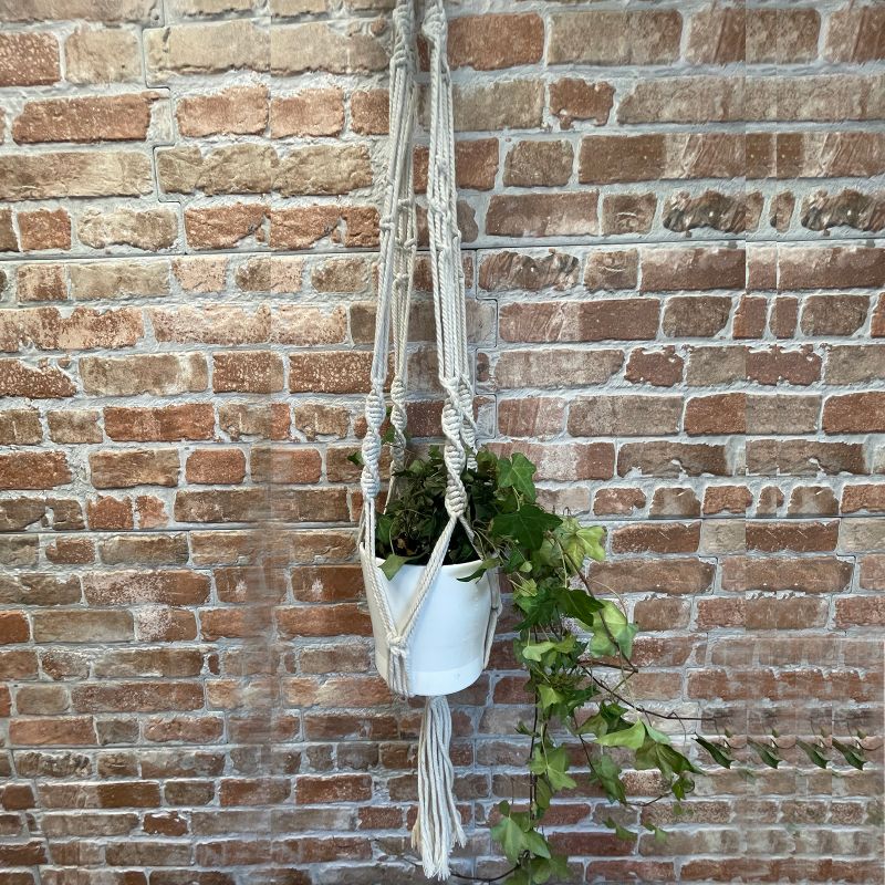 Suspension Macramé pour Plantes - Pot Large - Extra long