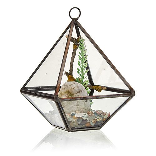 Terrarium en Verre - Petit Losange