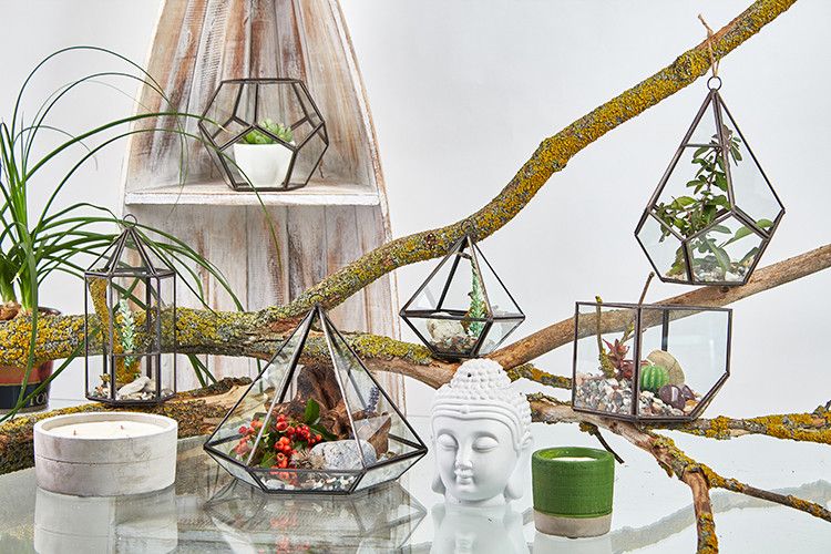Terrarium en Verre - Cube en Coin