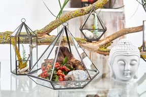 Terrarium en Verre - Petit Losange