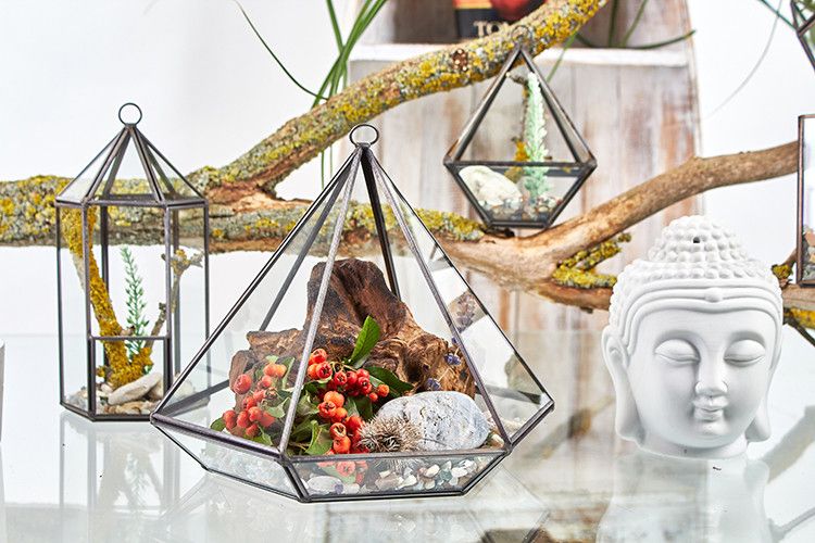 Terrarium en Verre - Petit Losange