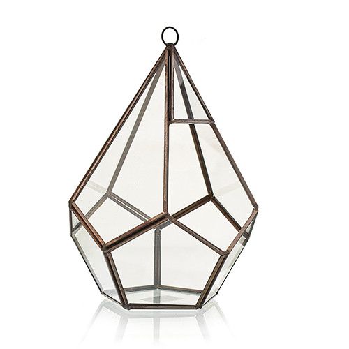 Terrarium en Verre - Grand Pentagone