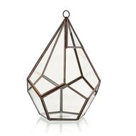Terrarium en Verre - Grand Pentagone