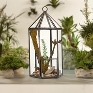 Terrarium en Verre - Forme Lanterne
