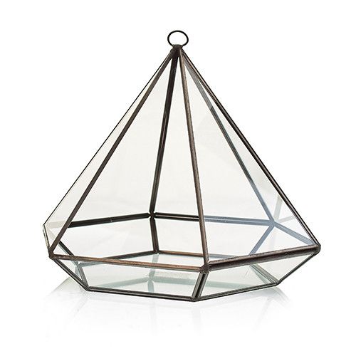 Terrarium en Verre - Grand Losange