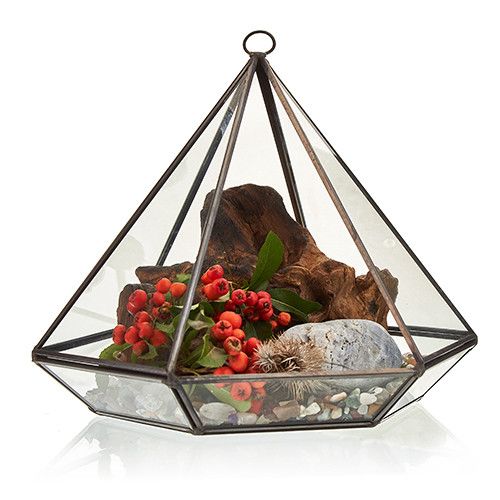 Terrarium en Verre - Grand Losange
