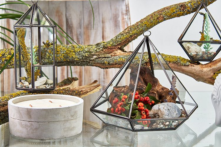 Terrarium en Verre - Grand Losange