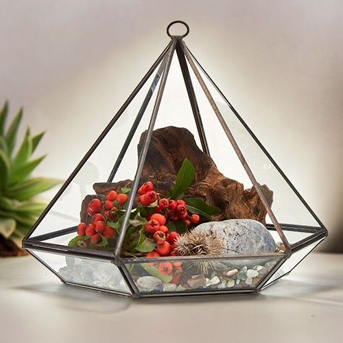 Terrarium en Verre - Grand Losange