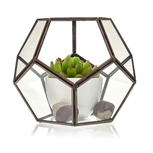 Terrarium en Verre  - Grand Octogone