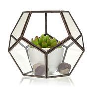 Terrarium en Verre  - Grand Octogone