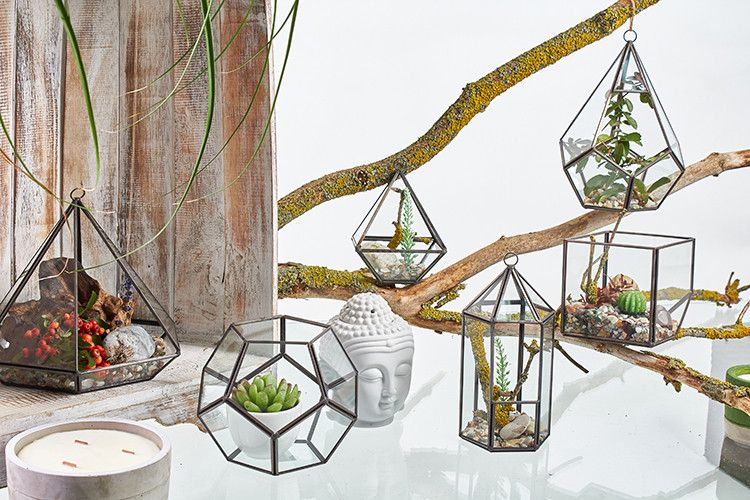 Terrarium en Verre - Cube en Coin