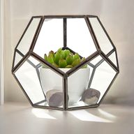 Terrarium en Verre  - Grand Octogone