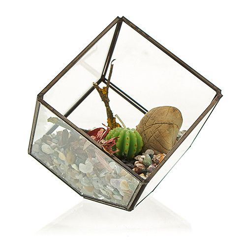 Terrarium en Verre - Cube en Coin