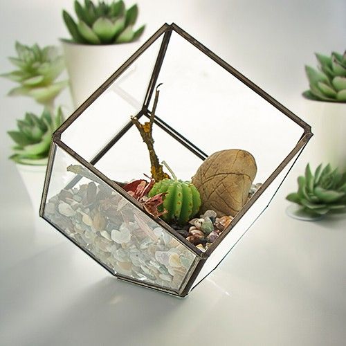 Terrarium en Verre - Cube en Coin
