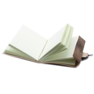Carnet En Cuir Dragon (6x8")