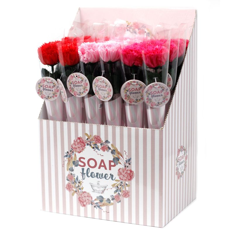 Fleurs Uniques et Présentoir - Petit Œillet