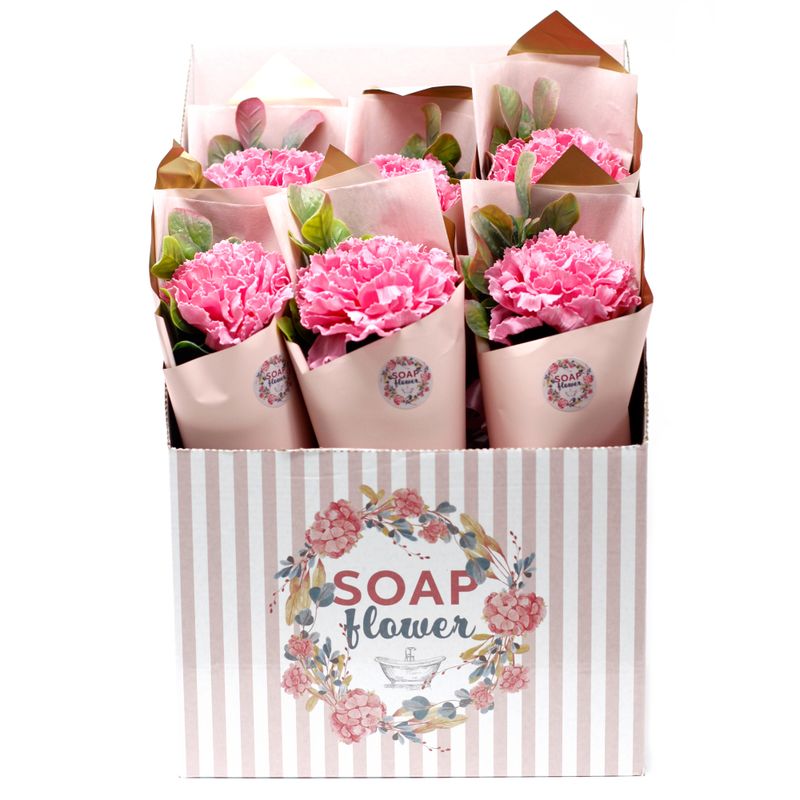 Fleurs Uniques et Présentoir - Bouquet d'Œillets
