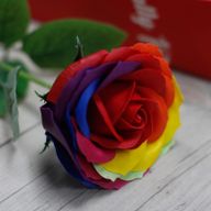Rose Unique Multicouleur