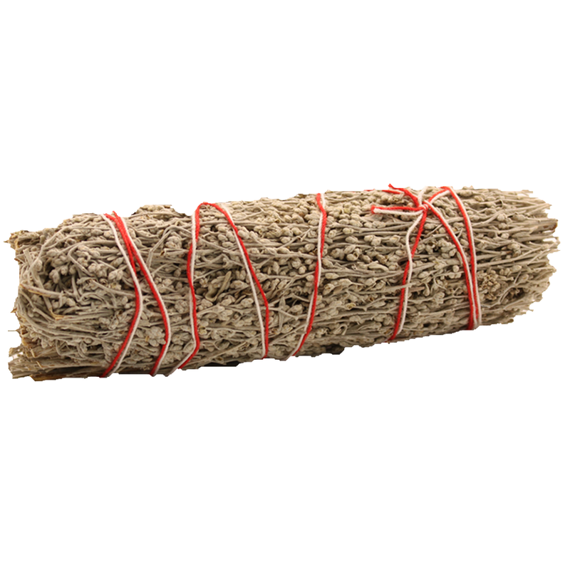 Fagot Sauge Bâton - Sauge Noire 22.5 cm