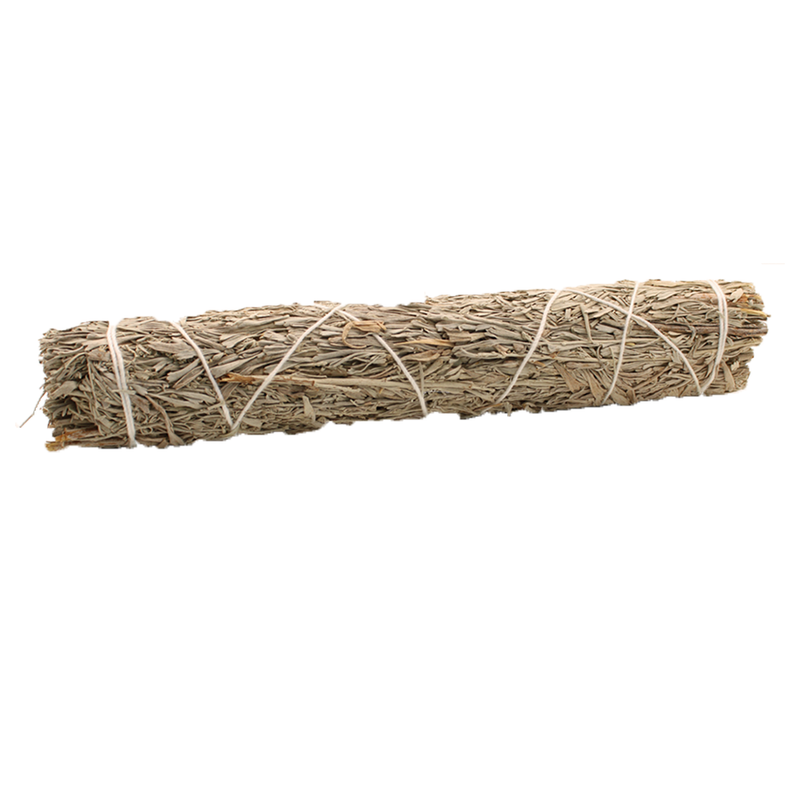 Fagot Sauge Bâton -  Sauge Bleue 22.5 cm