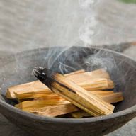 100g Palo Santo Arbre Vert 10-15 Bâtonnets