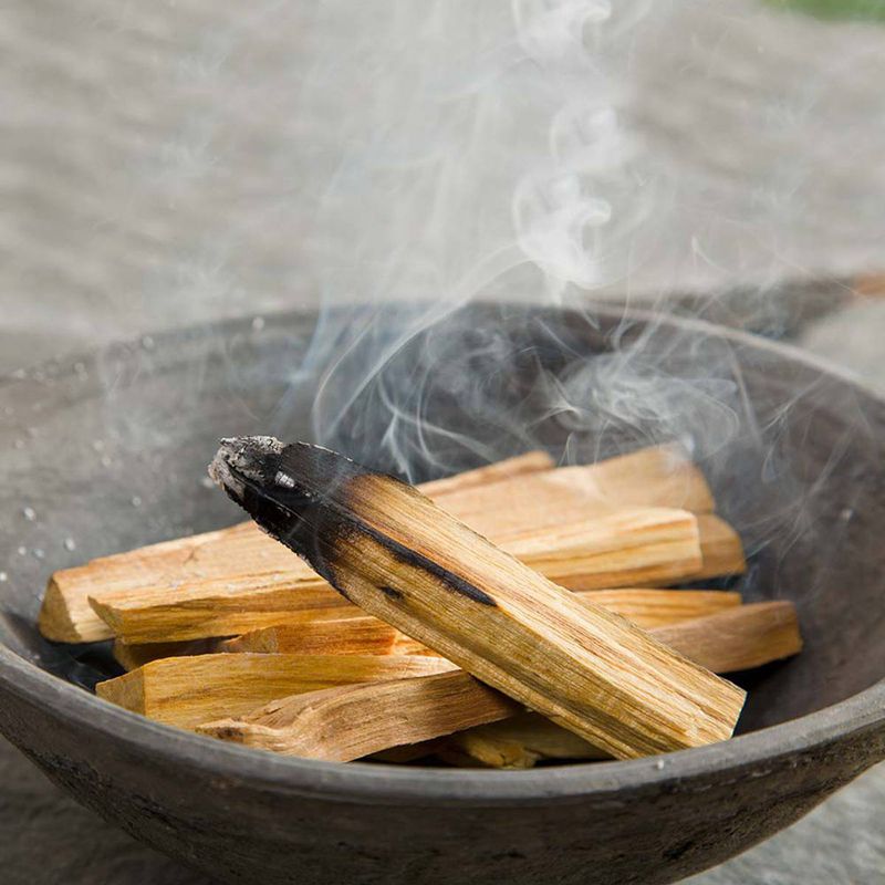 25g Palo Santo Arbre Vert  3-4 Bâtonnets