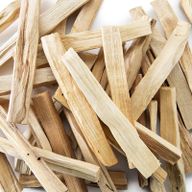 50g Palo Santo Arbre Vert  5-8 Bâtonnets
