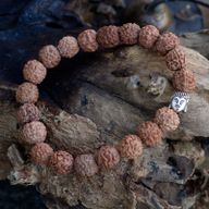Mala Rudraksha Bracelet Bouddha-Naturel