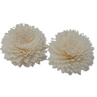 Diffuseurs Naturels Fleurs - Gd Œillet Corde