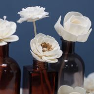 Diffuseurs Naturels Fleurs - Gd Œillet Corde