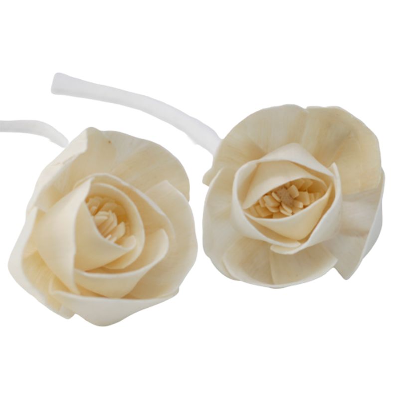 Diffuseurs Naturels Fleurs - Gd Rose Corde