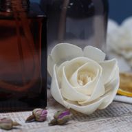 Diffuseurs Naturels Fleurs - Gd Rose Corde