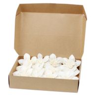 Diffuseurs Naturels Fleurs - Gd Lys Corde