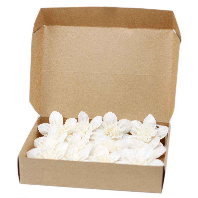 Diffuseurs Naturels Fleurs - Gd Lys Corde