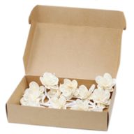 Diffuseurs Naturels Fleurs - Petit Lys Corde