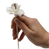 Diffuseurs Naturels Fleurs - Lys Sur Bâtonnets