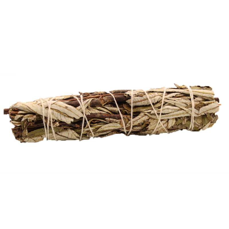 Fagot Sauge Bâton - Sauge Noire 15cm