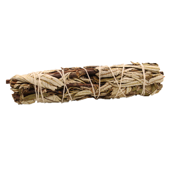 Fagot Sauge Bâton - Sauge Noire 15cm