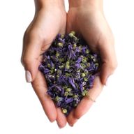Fleurs de Mauve Entières Bleues (0.5kg)