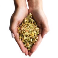 Fleurs de Jasmin (0.5kg)