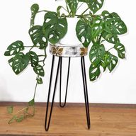 Support à Plantes en Bois Albasia - Blanchi à la chaux
