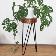 Support à Plantes en Bois Albasia - Blanchi à la chaux