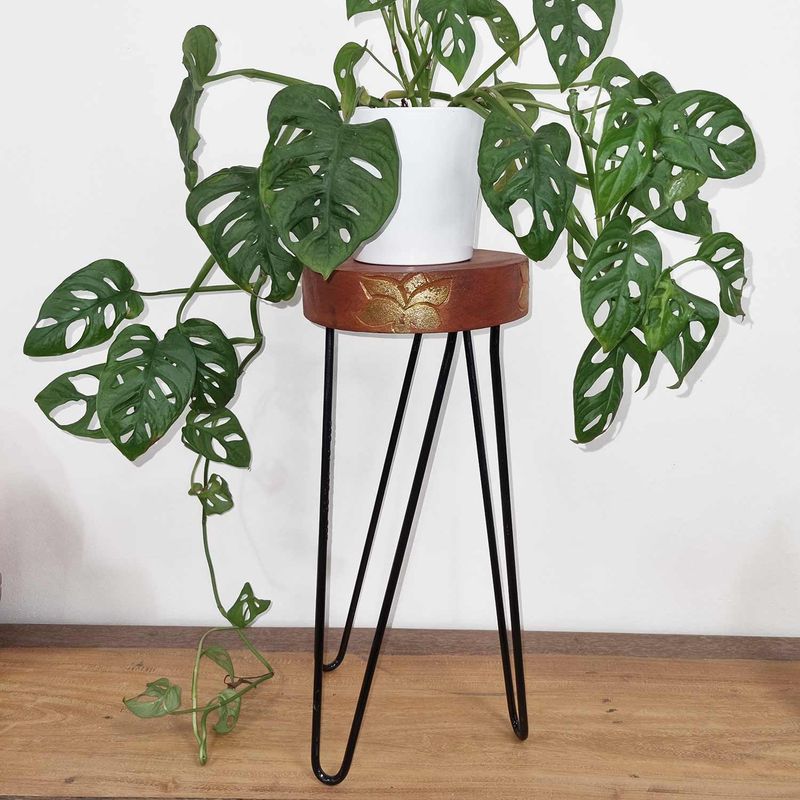 Support à Plantes en Bois Albasia - Blanchi à la chaux