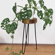 Support pour plantes en bois Albésia - Détail naturel et doré