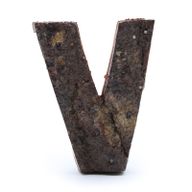 Lettre Écorce Rustique - "V" - 7cm