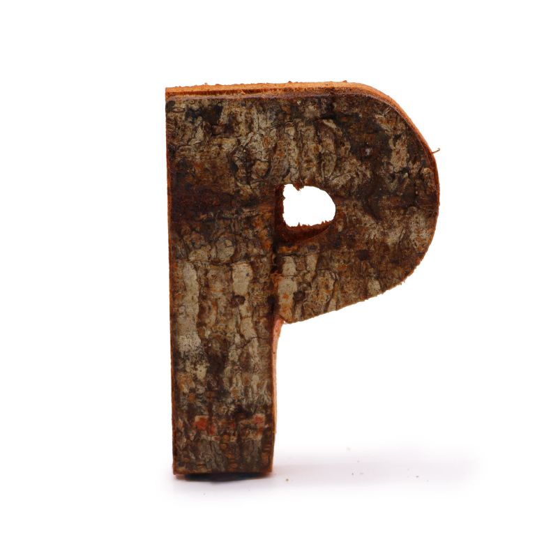 Lettre Écorce Rustique - "P" - 7cm