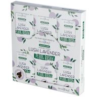 Cônes d'encens à base de plantes - Lush Lavender